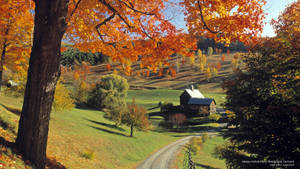 Vermont Sleepy Hollow Farm Wallpaper