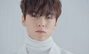 Vernon Close Up Image Wallpaper