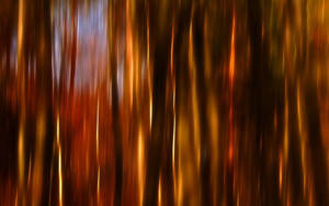 Vertical Lights Brown Wallpaper