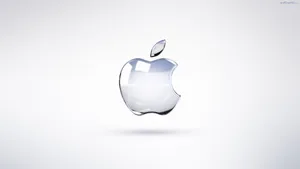 Vibrant Apple Hd Desktop Wallpaper Wallpaper