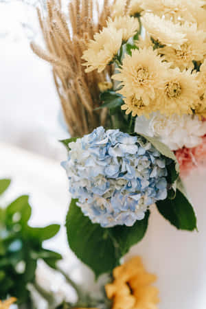 Vibrant Bouquet Of Exquisite Blue Flowers Wallpaper