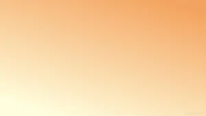 Vibrant Light Orange Hues Wallpaper