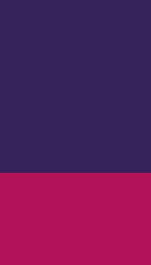 Vibrant Pink And Purple Palette Wallpaper