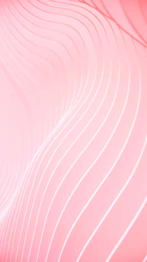 Vibrant Pink Gradient Background Wallpaper