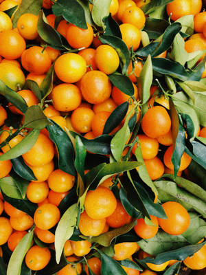 Vibrant Satsuma Mandarin Oranges Wallpaper