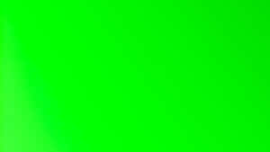 Vibrant Solid Green Wallpaper Wallpaper