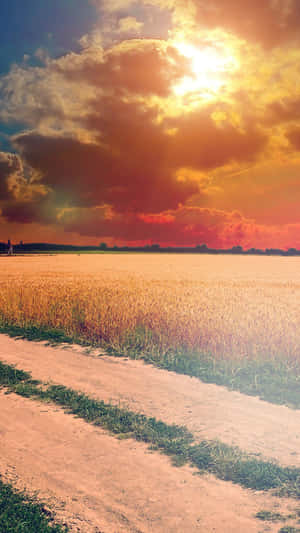 Vibrant Sunny Landscape With Orange Sky Wallpaper