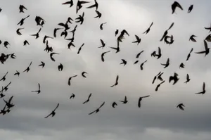 Vibrant Sunset At Seashore Wallpaper