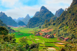 Vietnam Divided Farm Fields Wallpaper