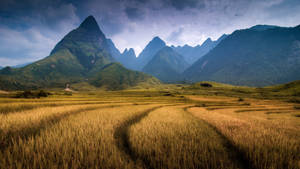 Vietnam Fansipan Mountain Wallpaper