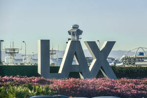 View Of Lax Departures Walkway With Pink Flowers Wallpaper