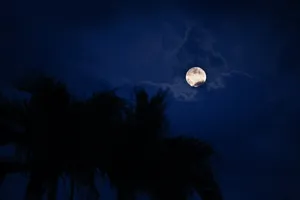 View Of The Moon Island Wallpaper