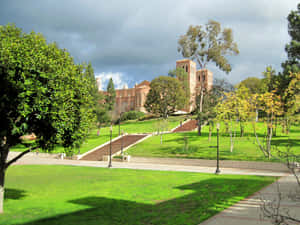 View Of Ucla Campus Wallpaper