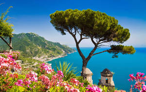 Villa Rufolo Garden In Amalfi Coast Wallpaper