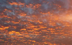 Vintage Aesthetic Clouds Pinkish Orange Wallpaper
