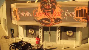 Vintage Cobra Kai Dojo Wallpaper