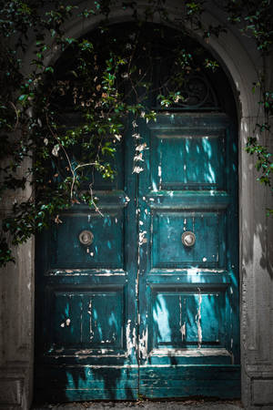 Vintage Faded Green Wooden Double Door. Wallpaper