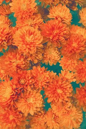 Vintage Orange Floral Backdrop Wallpaper
