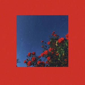 Vintage Roses Red Baddie Wallpaper