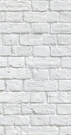 Vintage White Brick Flemish Bond Wallpaper