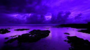 Violet Aesthetic Beach Night Sky Wallpaper