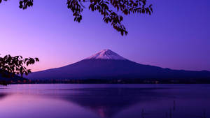 Violet Aesthetic Mount Fuji Landscape Wallpaper