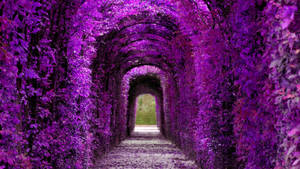 Violet Aesthetic Plant Tunnel Wallpaper