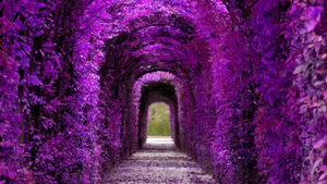 Violet Aesthetic Plant Tunnel Wallpaper
