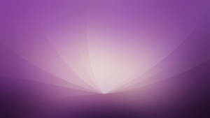 Violet Aesthetic Simple Clean Abstract Wallpaper