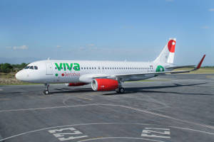 Viva Aerobus On Gray Tarmac Wallpaper