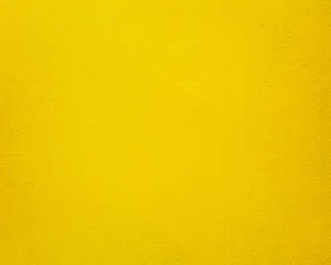 Vivid Yellow Color Wallpaper
