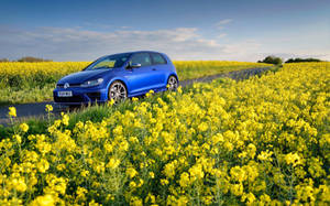 Volkswagen, Golf R, Mk7, Flowers, Field Wallpaper