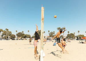 Volleyball On Beach With Net Wallpaper