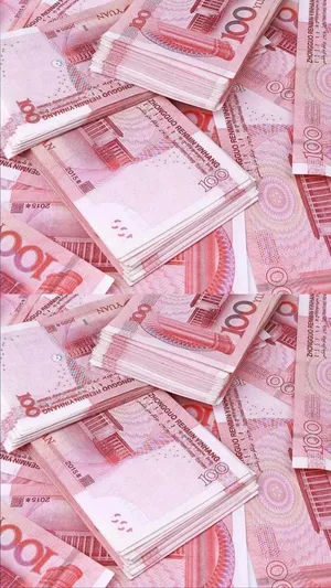 Wads Of Girly Money Wallpaper
