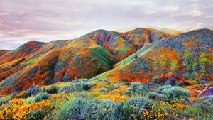 Walker Canyon Colorful Mountain Slope Wallpaper