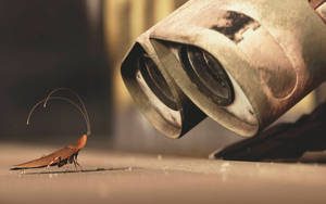 Wall E Cockroach Friend Hal Wallpaper