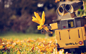 Wall E With Autumn Leaves Wallpaper