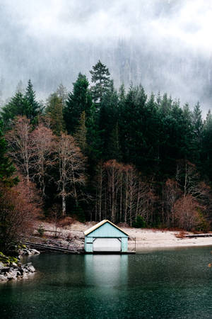 Wallpaper Seattle, Washington, North Cascades, Diablo Lake, Fog, Rain, Trip Wallpaper