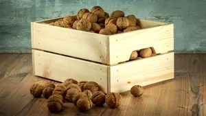 Walnuts, Box, Shell Wallpaper