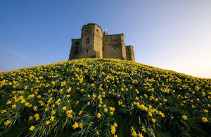 Warkworth Castle England Wallpaper