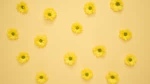 Warm And Cheerful Yellow Aesthetic Wallpaper