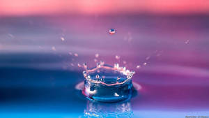 Water Drop Full Screen Hd Deskt Wallpaper