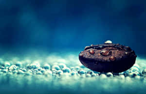 Water Droplets On Rock Nice Desktop Wallpaper