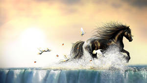 Water Hd Horse Wallpaper