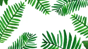 Watercolor Leaf Artwork Wallpaper