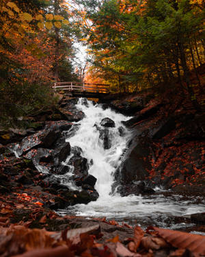 Waterfall In Autumn Wallpaper