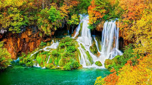 Waterfall In Autumn Hd Wallpaper