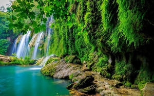 Waterfalls In A Rainforest Tropical Desktop Wallpaper