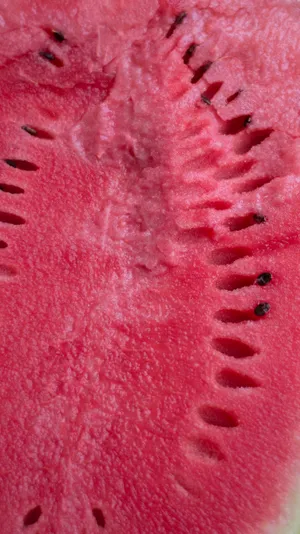 Watermelon Seeds Macro Shot Wallpaper