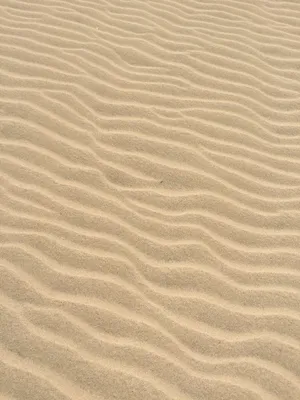 Wavy Sand Pattern Scheme Wallpaper
